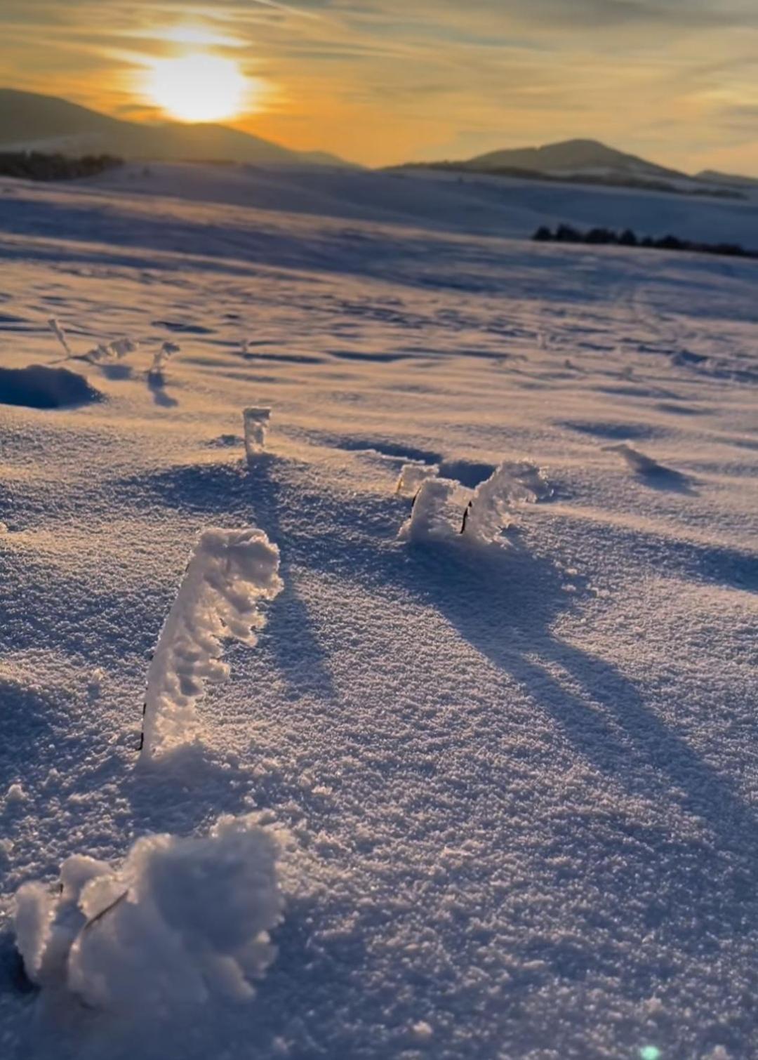 Zlatibor Hills Royal Daire Dış mekan fotoğraf